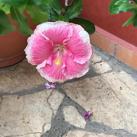 Hotel Buena Vista Copan ภายนอก รูปภาพ